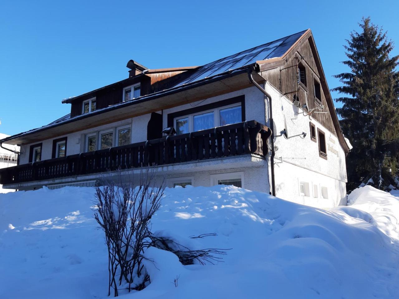 Pension Daberg Hotel Harrachov Exterior foto